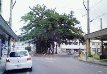 200812221055000.jpg