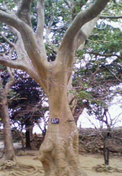 200812221212000.jpg