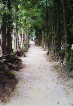 200812221253000.jpg
