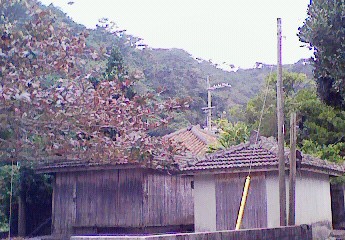 200812221602000.jpg