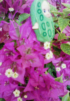 200812231001001.jpg