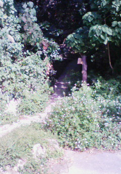 200812231323000.jpg