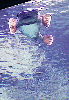 200912211254000.jpg