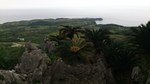 DSC_0263.jpg