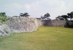 tabi2010.12 006.jpg