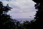 tabi2010.12 024.jpg