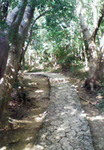 tabi2010.12 027.jpg