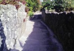 tabi2010.12 033.jpg