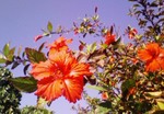 tabi2010.12 035.jpg