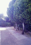 tabi2010.12 038.jpg