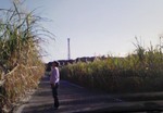 tabi2010.12 042.jpg